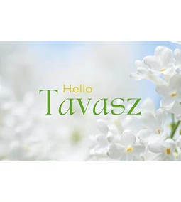 Tavaszi munkák 6. hét - díszfák és cserjék ültetése